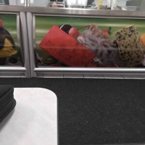 Monster preparado